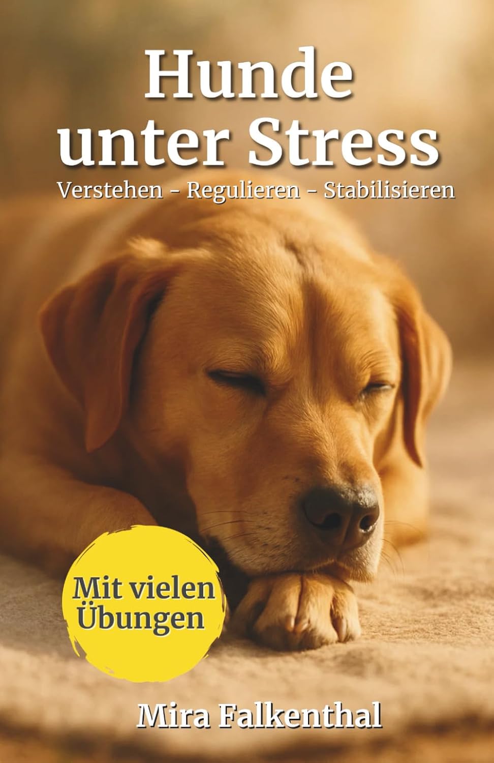 Hunde unter Stress – Verstehen, Regulieren, Stabilisieren